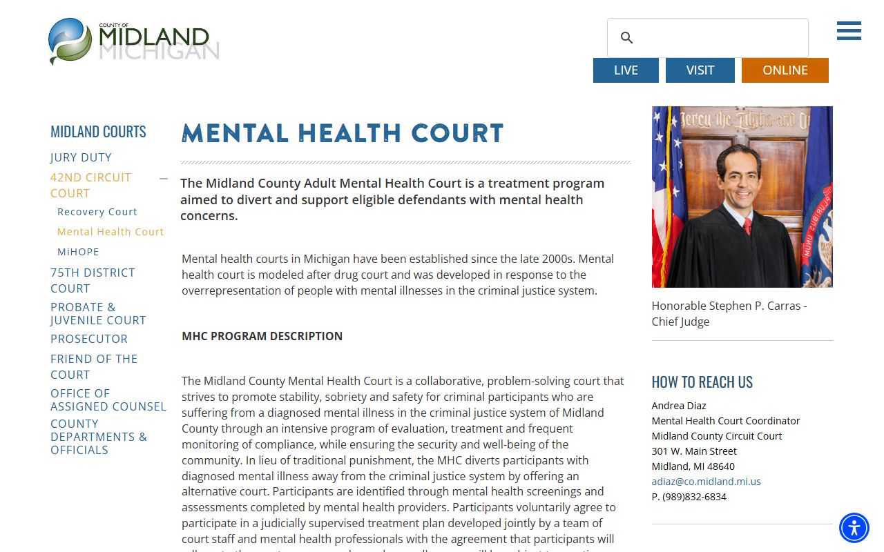 Midland County Adult Mental Health Court and probate records overview